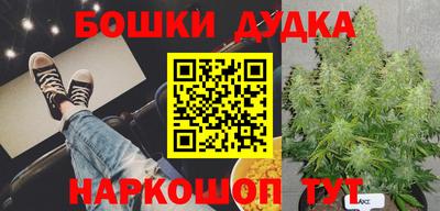 сатива Комсомольск-на-Амуре