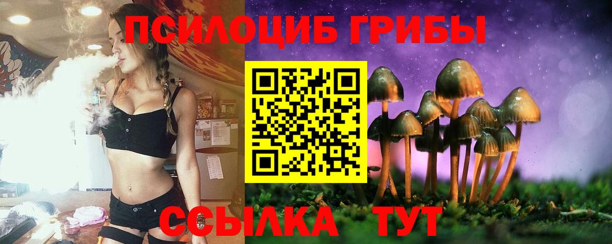 Елизово  Галлюциногенные грибы мицелий  Псилоцибиновые грибы прущие грибы  Вход с VPN 