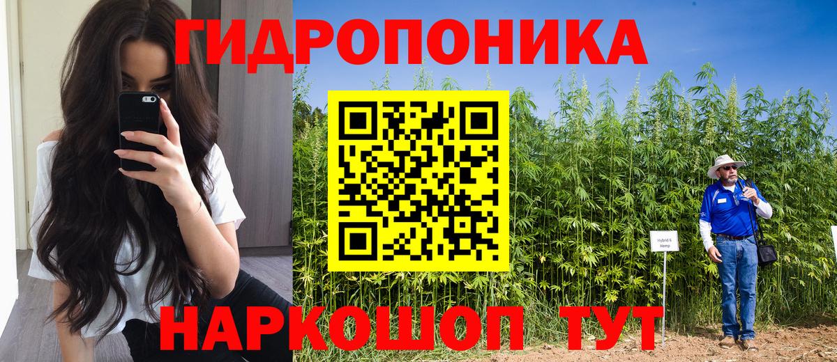 Бошки Шишки VHQ Елизово